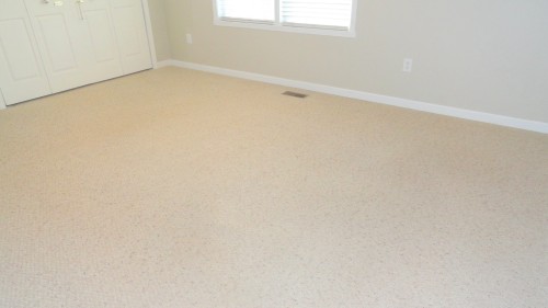 Light Carpet cleaned Before & after photos